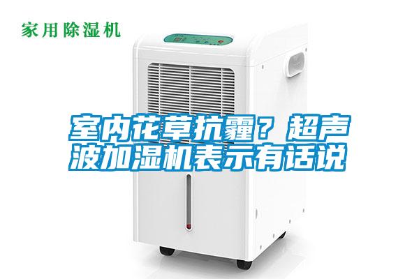室內花草抗霾？超聲波加濕機表示有話說