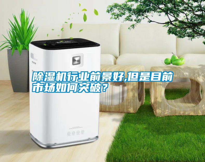 除濕機行業前景好,但是目前市場如何突破？