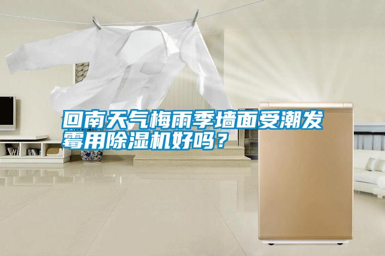 回南天氣梅雨季墻面受潮發霉用除濕機好嗎？