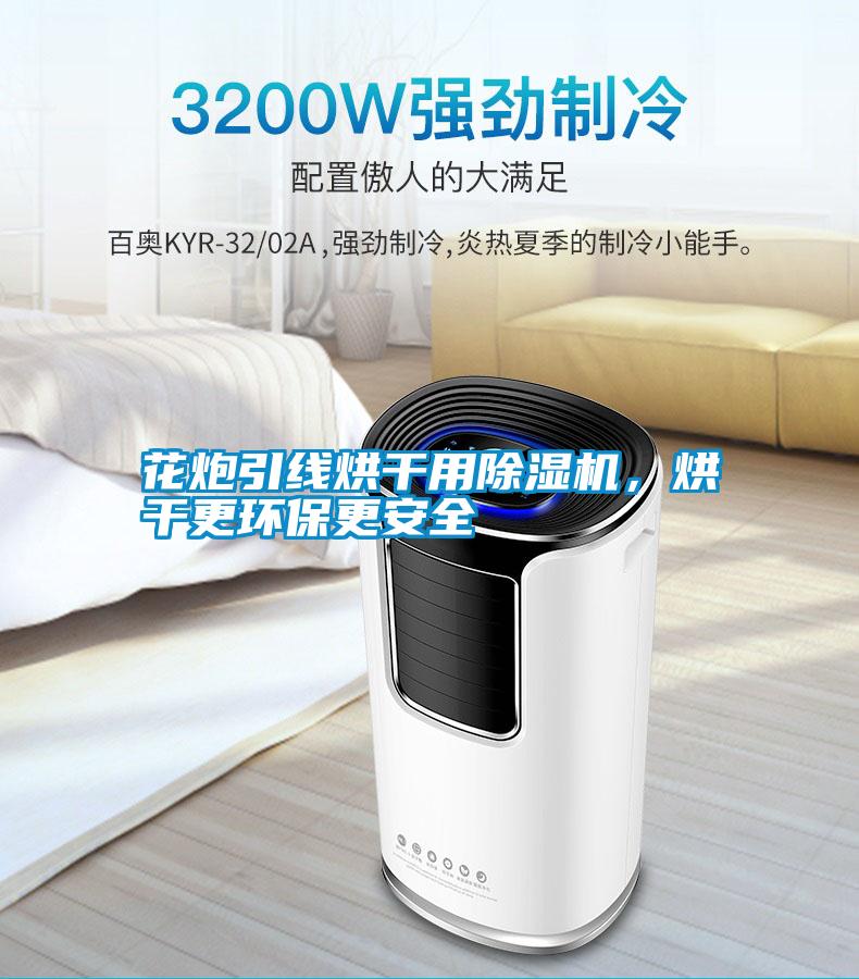 花炮引線烘干用除濕機，烘干更環保更安全