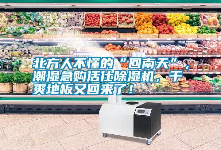 北方人不懂的“回南天”，潮濕急購活仕除濕機，干爽地板又回來了！