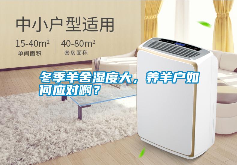 冬季羊舍濕度大，養羊戶如何應對??？