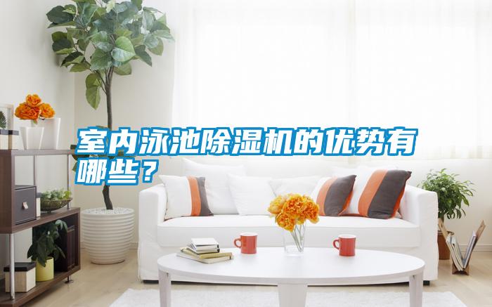 室內泳池除濕機的優勢有哪些？