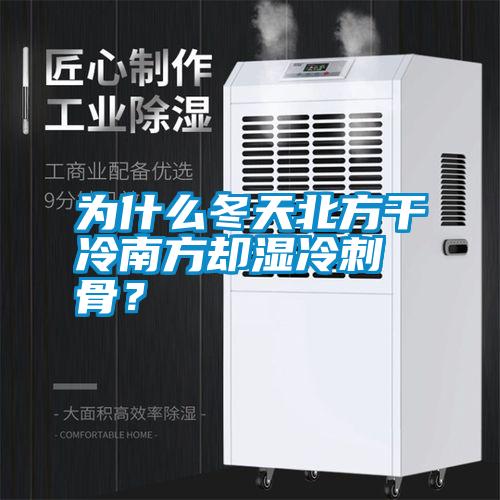 為什么冬天北方干冷南方卻濕冷刺骨？
