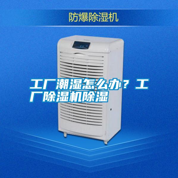 工廠潮濕怎么辦？工廠除濕機除濕