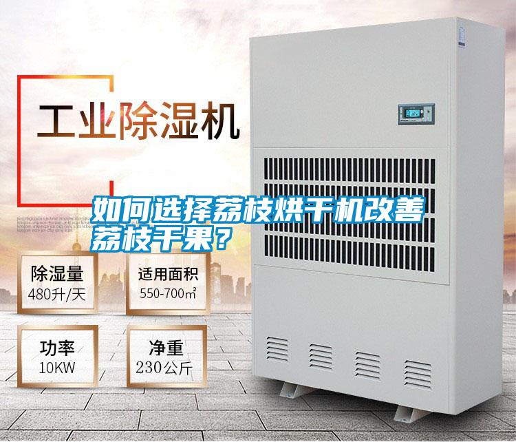 如何選擇荔枝烘干機改善荔枝干果？