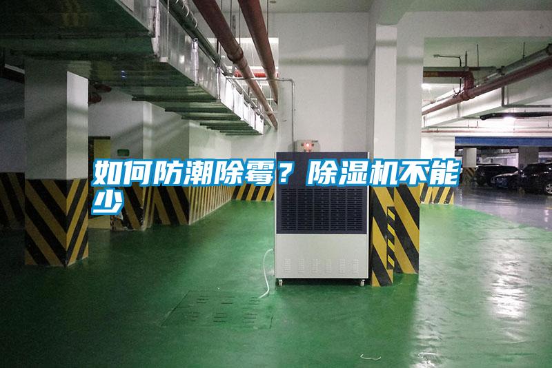 如何防潮除霉？除濕機不能少