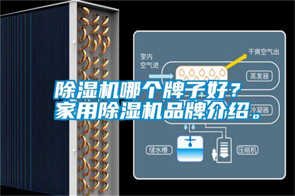 除濕機哪個牌子好？家用除濕機品牌介紹。