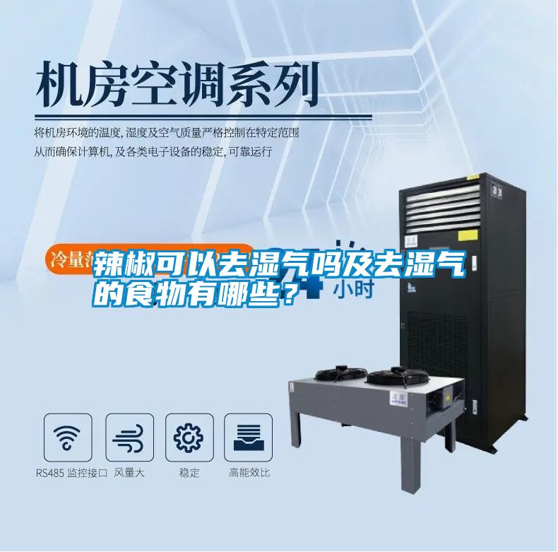 辣椒可以去濕氣嗎及去濕氣的食物有哪些？