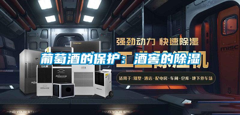 葡萄酒的保護:酒窖的除濕