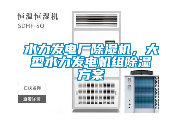 水力發電廠除濕機，大型水力發電機組除濕方案