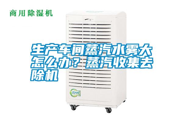 生產車間蒸汽水霧大怎么辦？蒸汽收集去除機