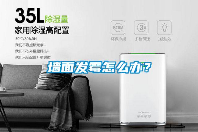 墻面發霉怎么辦？