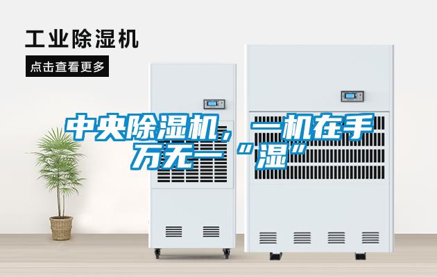 中央除濕機，一機在手萬無一“濕”