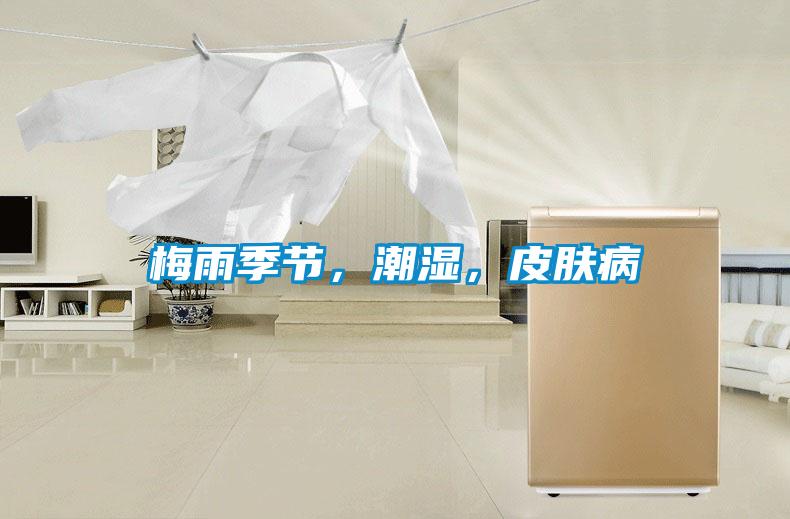 梅雨季節，潮濕，皮膚病