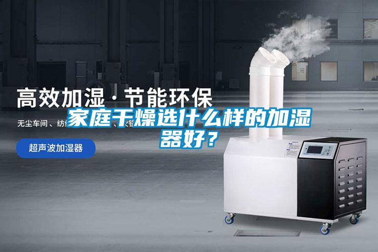 家庭干燥選什么樣的加濕器好？