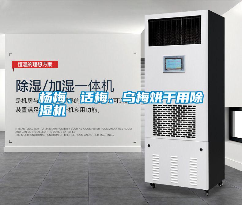 楊梅、話梅、烏梅烘干用除濕機