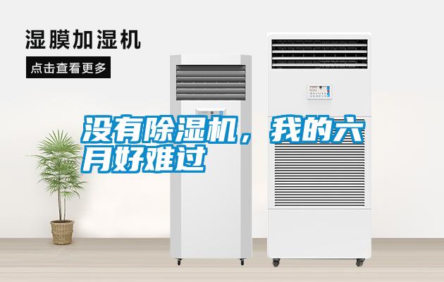 沒有除濕機，我的六月好難過