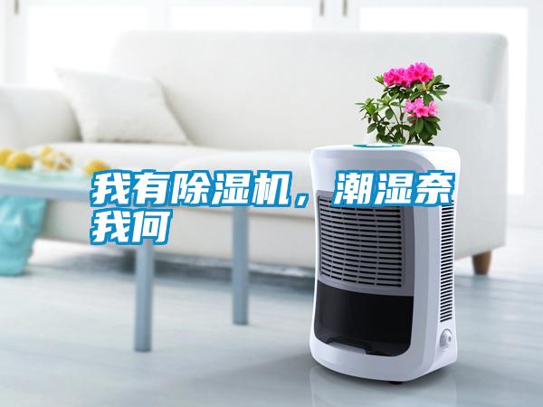 我有除濕機，潮濕奈我何