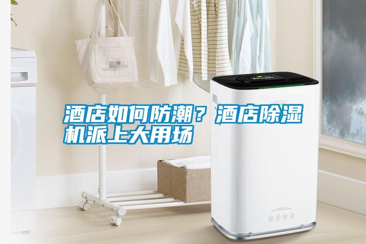 酒店如何防潮？酒店除濕機派上大用場