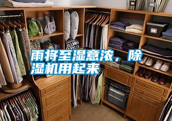 雨將至濕意濃，除濕機用起來
