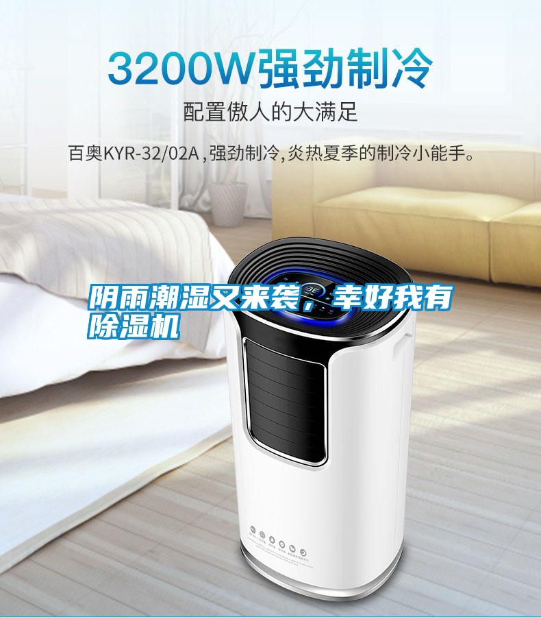 陰雨潮濕又來襲，幸好我有除濕機