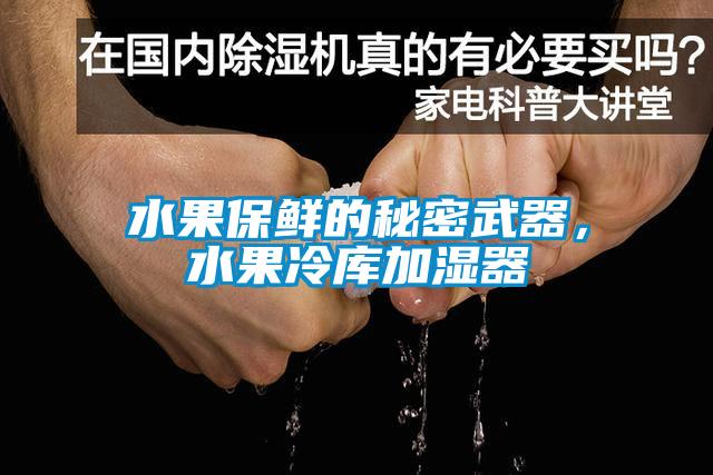 水果保鮮的秘密武器，水果冷庫加濕器