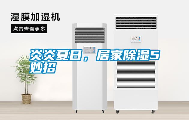 炎炎夏日，居家除濕5妙招