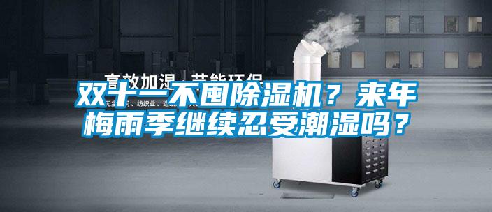 雙十一不囤除濕機？來年梅雨季繼續忍受潮濕嗎？