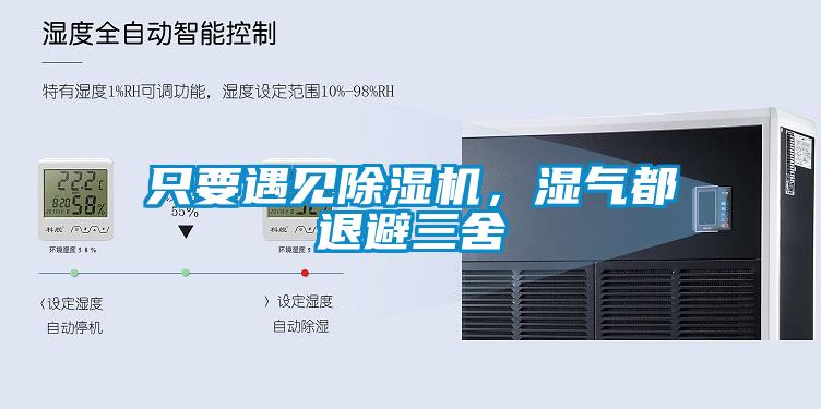 只要遇見除濕機，濕氣都退避三舍