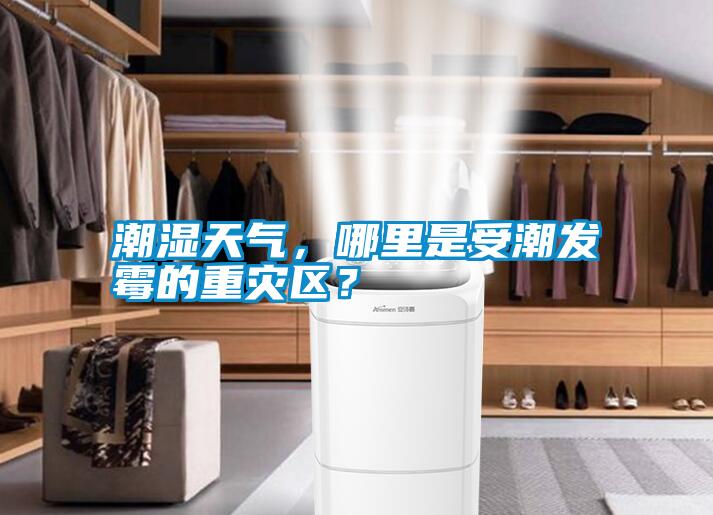 潮濕天氣，哪里是受潮發霉的重災區？