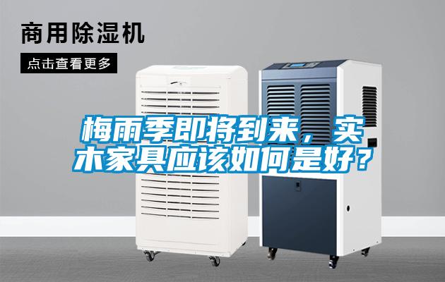 梅雨季即將到來，實木家具應該如何是好？