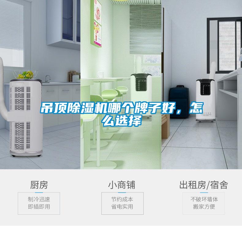 吊頂除濕機哪個牌子好，怎么選擇