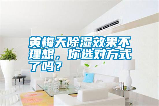 黃梅天除濕效果不理想，你選對方式了嗎？