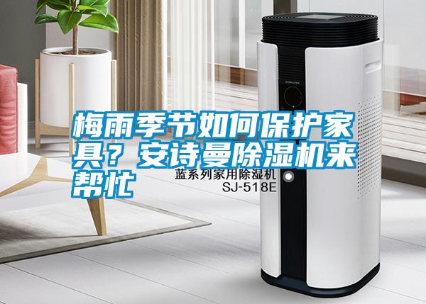 梅雨季節如何保護家具？安詩曼除濕機來幫忙