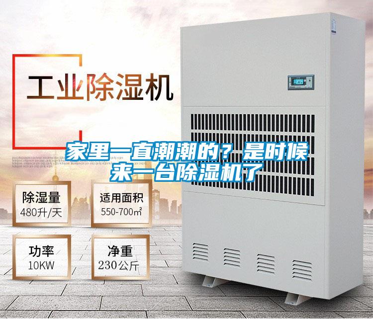 家里一直潮潮的？是時候來一臺除濕機了
