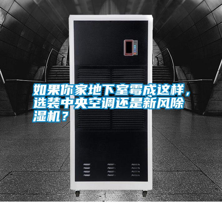 如果你家地下室霉成這樣，選裝中央空調還是新風除濕機？
