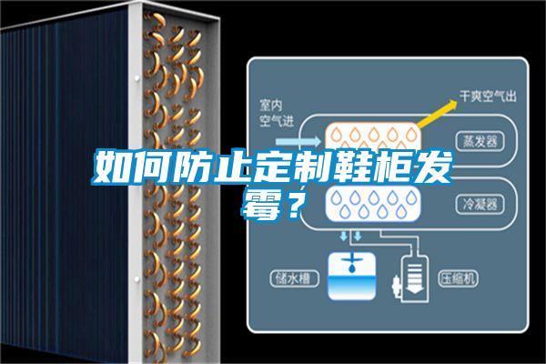 如何防止定制鞋柜發霉？