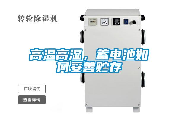 高溫高濕，蓄電池如何妥善貯存