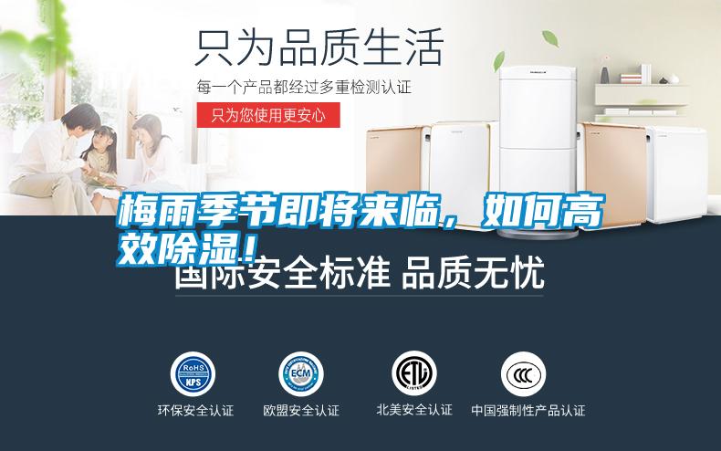梅雨季節即將來臨，如何高效除濕！