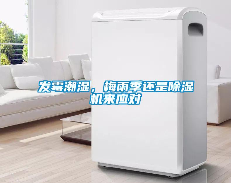 發霉潮濕，梅雨季還是除濕機來應對