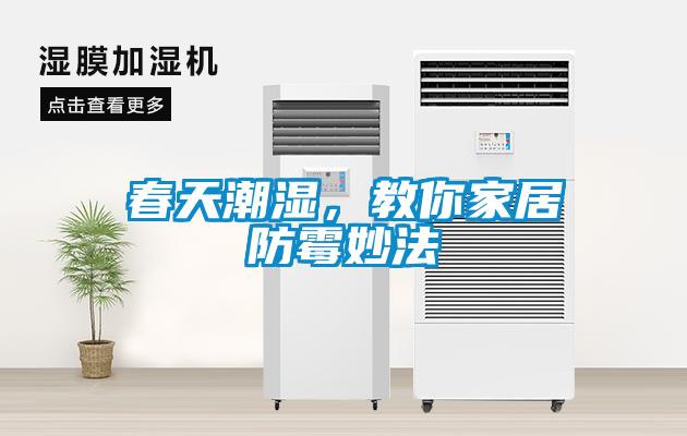 春天潮濕，教你家居防霉妙法