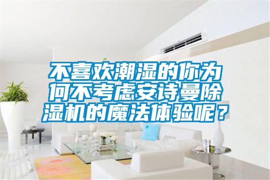 不喜歡潮濕的你為何不考慮安詩曼除濕機的魔法體驗呢？