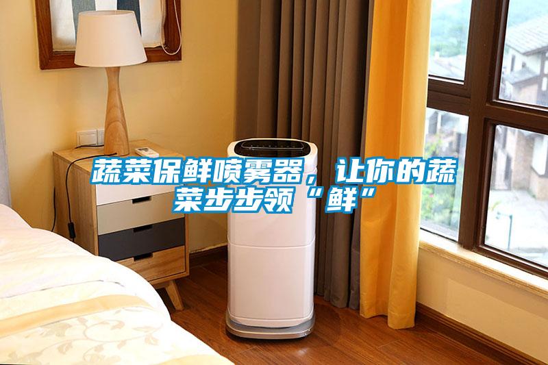蔬菜保鮮噴霧器，讓你的蔬菜步步領“鮮”