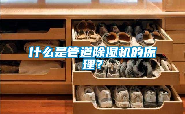 什么是管道除濕機的原理？