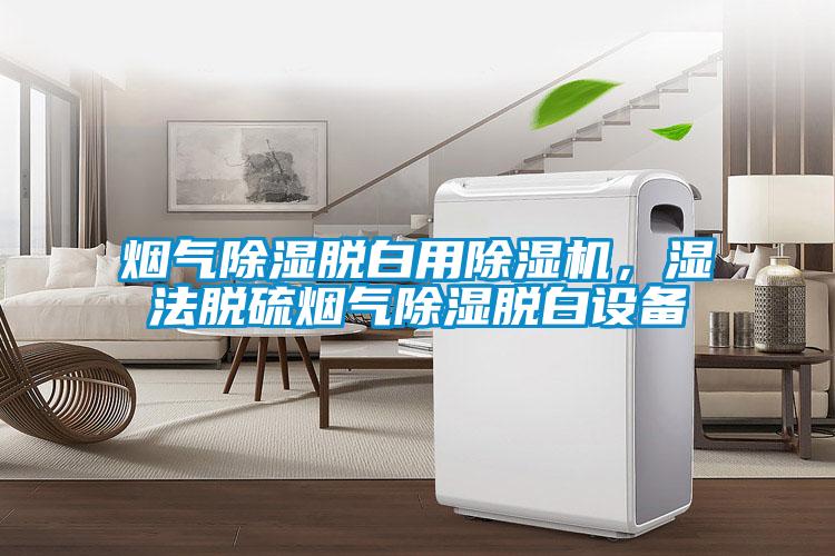 煙氣除濕脫白用除濕機，濕法脫硫煙氣除濕脫白設備