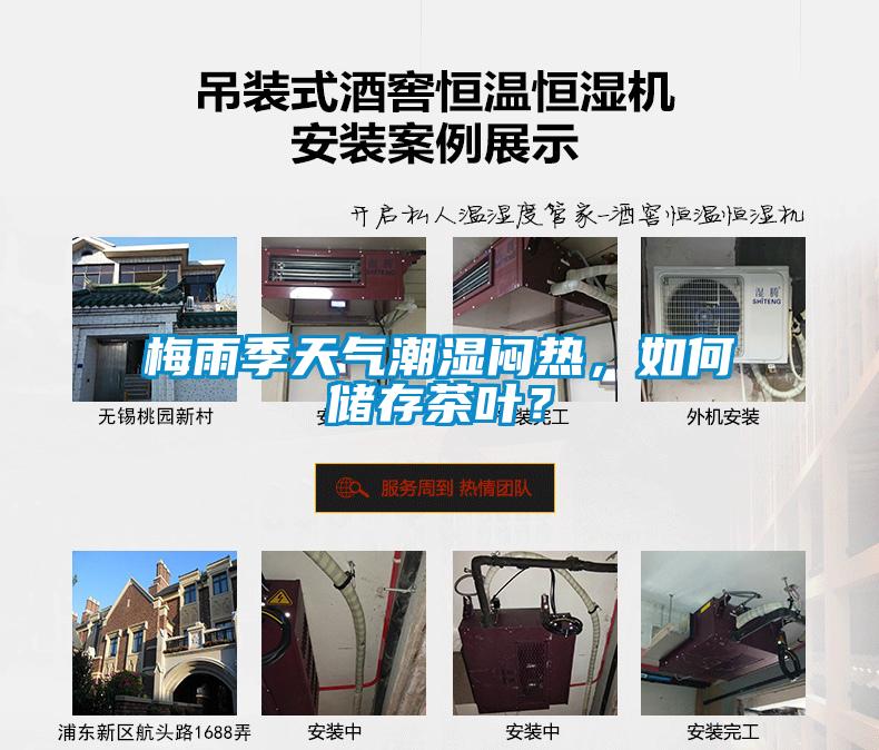 梅雨季天氣潮濕悶熱，如何儲存茶葉？