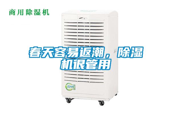 春天容易返潮，除濕機很管用