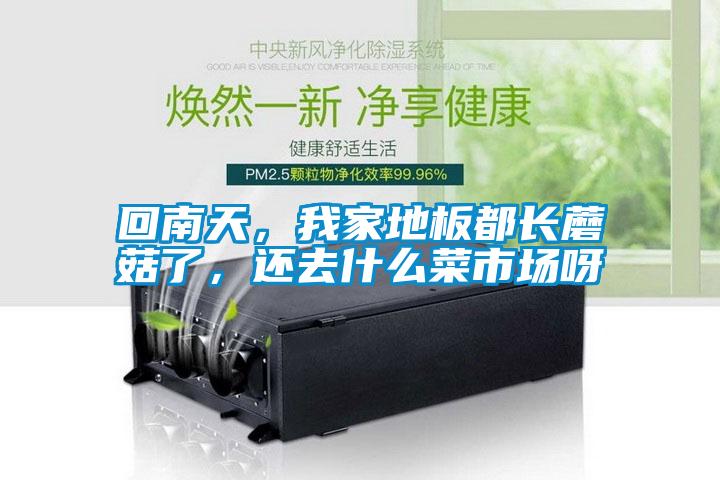 回南天，我家地板都長蘑菇了，還去什么菜市場呀