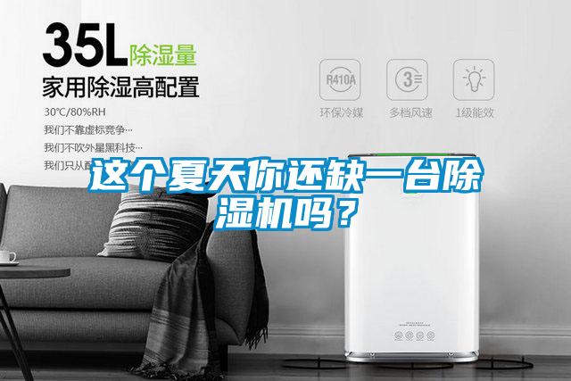 這個夏天你還缺一臺除濕機嗎？